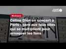VIDÉO. Céline Dion en concert à Paris : gare aux faux sites qui se multiplient pour arnaquer les fans