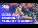 Des corbeaux arrachent les cheveux de Raiponce au parc Disney de Tokyo