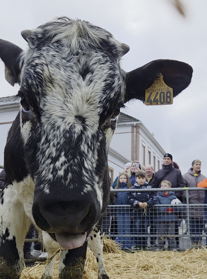 Vidéo. $content.TitleNoTags