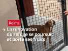 Le refuge de Reims fait peau neuve et attire les adoptants