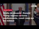 VIDEO. Droits de douane : Donald Trump impose certains médicaments, revoit ceux sur les métaux