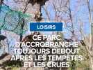 Ce parc d'accrobranche toujours debout après les tempêtes et les crues