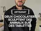 Des tablettes de chocolat avec des visages d'animaux