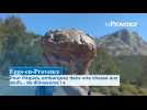 Eggs-en-Provence : pour Pâque, embarquez dans une chasse aux oeufs... de dinosaures !