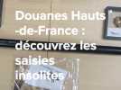 Saisies insolites : les douanes Hauts-de-France dévoilent l'inattendu