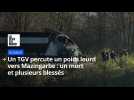 Spectaculaire accident de TGV : un mort et plusieurs blessés