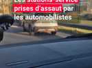 Hausse du prix des carburants : de nombreuses stations-services prises d'assaut par les automobilistes