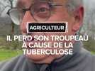 Il a perdu son troupeau à cause de la tuberculose