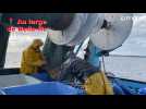 Vid�o � C?est le poisson qui d�cide � : une campagne � la sardine � bord du chalutier � Joker �
