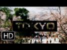 [hd] tokyo sakura 2013