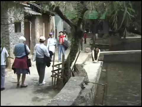 lijiang, china part 1, old town