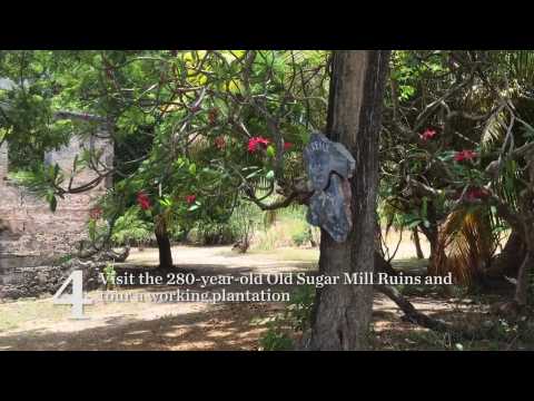 Best Things To Do on Bequia