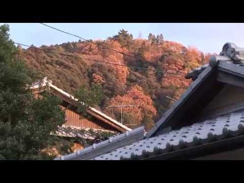 philosoper's path and honen-in temple and gardens, kyoto, japan travel video