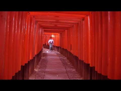 fushimi-inari-taisha  temple and gardens, kyoto, japan travel video