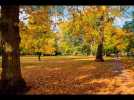 pittville park, cheltenham  -  autumn colours - 2015