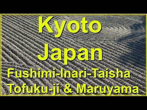 kyoto, japan, temple gardens: fushimi-inari-taisha, tofuku-ji, maruyama park