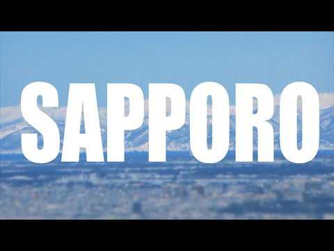 a bird&#39;s eye view of sapporo | japan