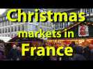 christmas markets in strasbourg, colmar, and alsacee wine villages, france