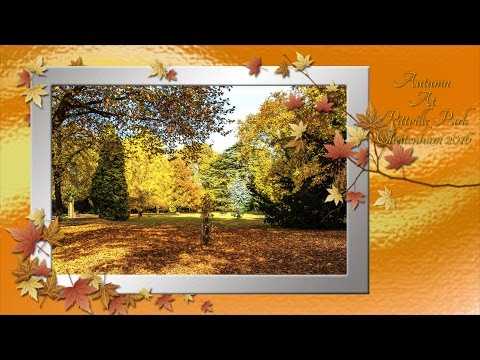 autumn leaves at pittville park 2016